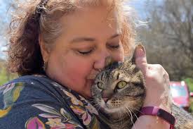 For those of you who don't know the ECWPs.... Bellamy is the grey tabby and  is the queen of the house. Albert is white with patches of tabby stripes