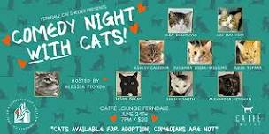Comedy Night with Cats!