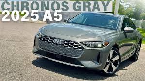 Image result for Apolo Gray 2010 A5