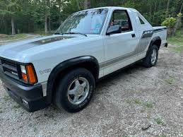 Image result for Bright White 1993 Dakota
