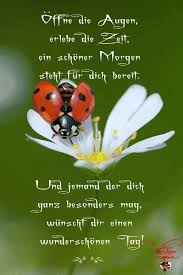 Geburtstag Geburtstag Geburtstag Geburtstag Guten Morgen Lustig Lustige Trainingszitate Spruche