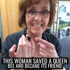 After spotting a wingless queen bee in her garden, this woman went well out  of her way to give it the best life ever 👏🐝