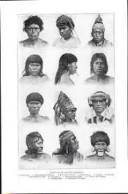 50 million latin americans are indigenous people. Population History Of Indigenous Peoples Of The Americas Wikiwand