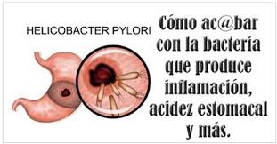 Resultado de imagen para imagen del helicobacter pylori