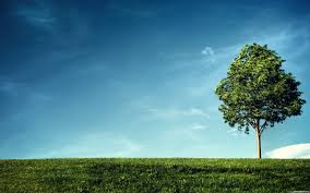 Beautiful Simple Nature Wallpaper If you have your own one you can do this by following a simple process: beautiful simple nature wallpaper