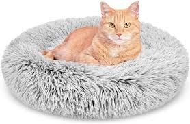 Bed so plush that cats love to. Amazon Com Katoggy Plush Donut Pet Bed Dog Cat Round Seft Warm Calming Dog Bed Cuddler Kennel Soft Puppy Sofa Anti Slip Bottom Machine Washable Kitchen Dining