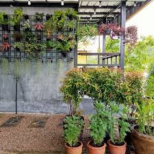Sehingga, bagian eksterior rumah satu ini akan tampil cantik dan menjadi tempat yang nyaman saat digunakan sebagai tempat bersantai bersama keluarga. Intip Cara Cerdik Menata Taman Minimalis Lifestyle Liputan6 Com