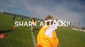 Sharks And Minnows Soccer Youtube