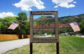 See 182 traveler reviews, 69 candid photos, and great deals for alpen rose rv park, ranked #4 of 23 specialty lodging in durango and rated 4 of 5 at tripadvisor. Alpen Rose Rv Park Durango Colorado Campspot