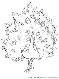 Search through 623,989 free printable colorings at getcolorings. Peacock Coloring Page 2 Audio Stories For Kids Free Coloring Pages Colouring Printables