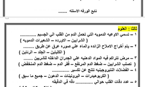 امتحان لغة عربية للصف الرابع الابتدائي.docx הצג הורד. Cypolpnr2lx9um