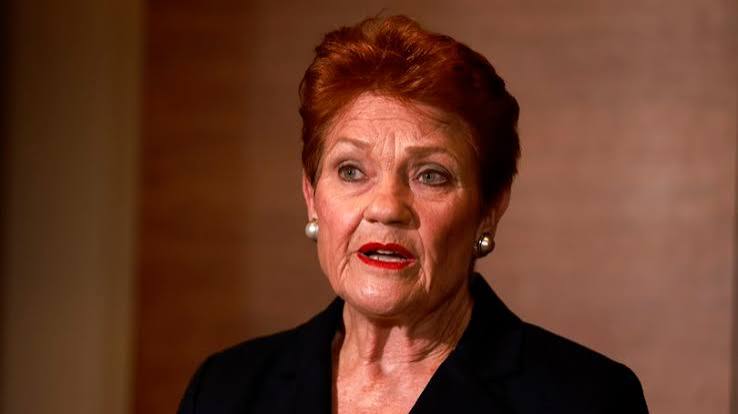 Bayswater man Anton Raymond Illich blames Pauline Hanson death threat on ' Facebook addiction' | The West Australian