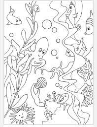 Learn about all of the wonderful creatures that live below us in the expansive world of the sea. Ocean Scene Ocean Coloring Pages Animal Coloring Pages Free Coloring Pages