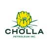 However, the investments didn't arrive, per the complaint, so dolic claims he spent $16.24 million of his own funds to purchase of a ward county, texas, power substation from a firm called hodl. Hodl Ranch Mining Company Linkedin