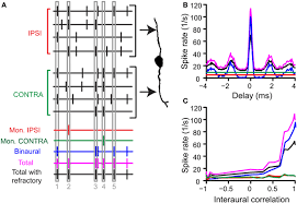 Delay cell has an identical delay to that of all the other delay cells. Frontiers Coincidence Detection In The Medial Superior Olive Mechanistic Implications Of An Analysis Of Input Spiking Patterns Frontiers In Neural Circuits