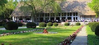 In diesem teil liegen die bekanntesten gebäude des parks (teehaus, monopteros, chinesischer turm). Teehaus Berlin Berlin Teehaus Im Englischen Garten In Berlin Mieten Bei Event Inc