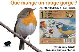 Que mange le rouge gorge l'hiver. Etmis3rkvr7fim