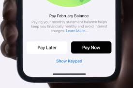 Payments are then made every two weeks to the bank account you instruct them to pay you to, minus any sales or amazon seller central fees owing. Apple Card Vs Amazon Prime Rewards Visa Which Credit Card Offers The Most Cash Back And Best Perks Appleinsider