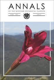 Image result for Styppeiochloa