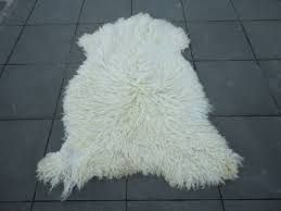 Hakiki Keci Postu 120 X 100 Seccade Evcil Hayvan Yatagi Dergah Postu Somine Onu Dekoru Duvar Halisi 2020 Hayvan Derisi Hali Kilim Evcil Hayvanlar