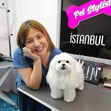 kurumsal hayati birakti sertifikali pet kuaforu oldu