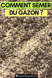 Quand semer du gazon ? Comment Semer Du Gazon