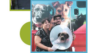 Even though spays and neuters are major surgical procedures, they are some of the most common procedures performed by veterinarians. Coalition For Pets Public Safety Mobile Spay Clinic