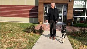 Jul 03, 2017 · woensdag 21 juli 2021 nationale feestdag; Biden Verzwikt Enkel Tijdens Spelen Met Hond Buitenland Hln Be