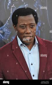 Paul wesley hi-res stock photography and images