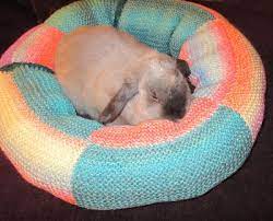 Best bedding types for rabbits. Where Do Rabbits Sleep Bunny Beds Bunny Approved House Rabbit Toys Snacks And Accessories