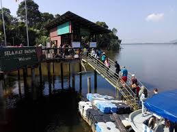 This is a rehabilitation center of 35 acres just for orangutans! Orangutan Island A Hidden Orangutan Sanctuary In West Malaysia 2021
