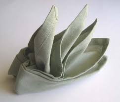 Bird Of Paradise Napkin Folding Instructions Napkin Folding Bird Of Paradise Napkin Folding Napkin Origami Napkins