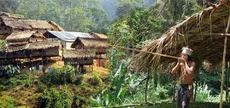 Orang Asli Village Aborigine S Village Cameron Highlands