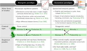 What is a trophic cascade example. Pyramids And Cascades A Synthesis Of Food Chain Functioning And Stability Biorxiv