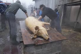 Cat Costă Carnea De Porc In Supermarketuri Pieţe Si La Gospodari Viaţa Liberă Galaţi