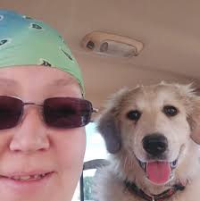 With stage 2 can you use a battery powered chainsaw. In some places I saw  yes as long as battery powered and in some I saw no. So I am just wondering