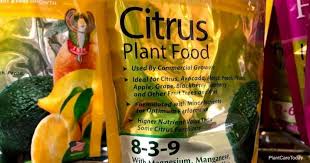 Fertilizing and liming fruit trees david w. Tips On Fertilizing A Citrus Tree When Do You Fertilize A Citrus