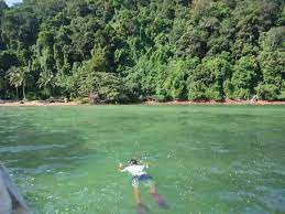 8 & 9 februari 2016 (sabtu & ahad)penganjur: æˆ'å°±æ˜¯è¦æ—…è¡Œ Pulau Songsong Yan Kedah Facebook