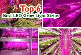 Best grow light for 6 plants. 5 Best Led Grow Light Strips Review On 2021