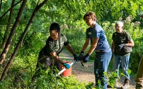 Volunteering | Longwood Gardens