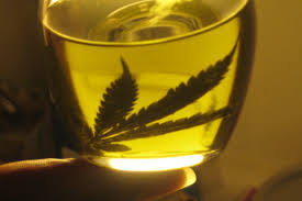 Are i am going to be talking about how to make shatter quality concentrate without using butane or co2 etc. How To Make Cannabis Oil Our Homemade Recipe