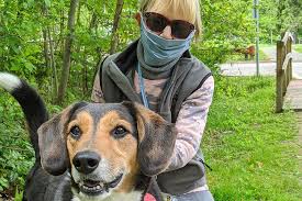 Wags pet adoption is dedicated to providing the best quality of care, advocacy, and shelter for lost and homeless animals seeking new permanent loving homes. How A Pittsburgh Animal Shelter Is Caring For Its Rescues Pittsburgh Magazine