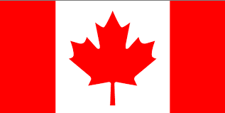 Buying a house is one of the biggest decisions many people will ever make. Canadian Buyers Of Florida Real Estate Florida International Realty Sarasota