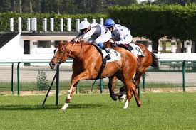 Les albums recommandés par angèle chatelier. Maiden Winners In May France Galop