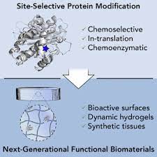 Site Selective Protein Modification From Functionalized Proteins To Functional Biomaterials Sciencedirect