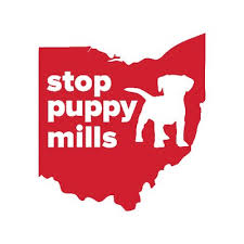 Dog farming is a large part of the economy for many amish communities. Stop Puppy Mills Ohio Acme Canine