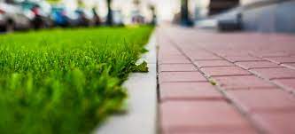Help In Understanding When Exactly Does Your Lawn S Grass Stop Growing