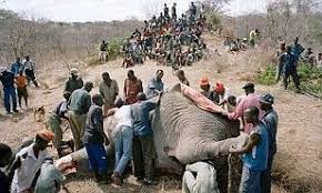 Orang yang melunjak diberi sedikit tetapi masih meminta lebih orang tidak tahu berterima… Today Hati Gajah Sama Dilapah Hati Kuman Sama Dicecah Orangmuo My