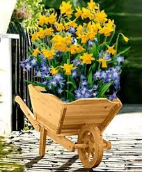 Brouette En Bois 70 Bulbes Bulbes Sauvages Www Bakker Fr Brouette Brouette En Bois Outils Jardinage