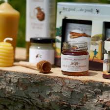 Image result for Julbernardia paniculata